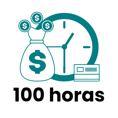Bolsa 100h