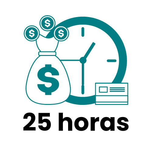 Bolsa 25h